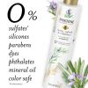 Pantene Sulfate Free Shampoo;  Detangling Shampoo with Rosemary;  9.6 oz